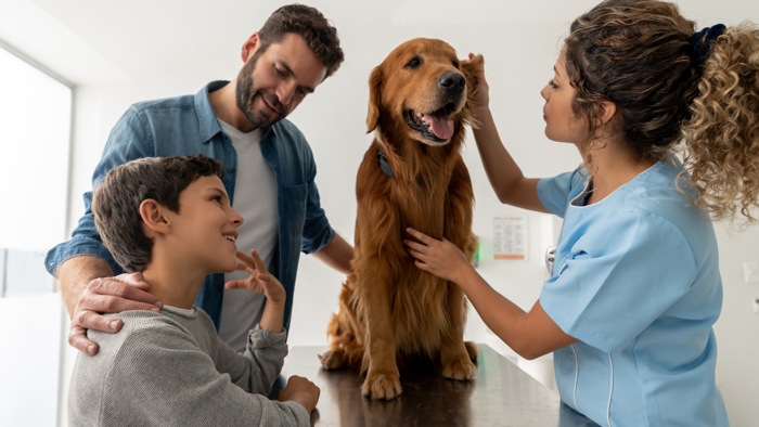 Vet examining dog with family