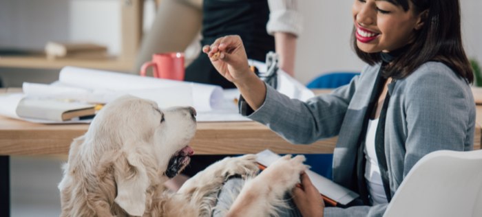 Woman presenting treat to dog