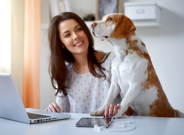 Smiling brunette woman in white blouse sitting at a desk next to her white and orange-colored dog near an Apple laptop, iPad, and white headphones