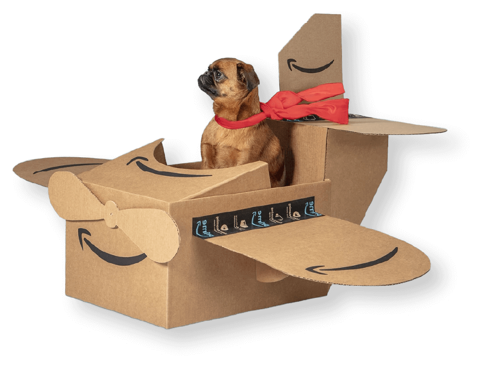 A cute dog in a cardboard airplane crafted from Amazon shipping boxes